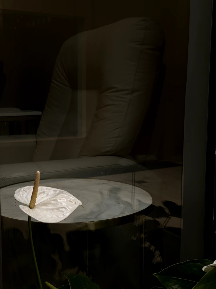 nord-nails-brasilia-lago-sul (7)